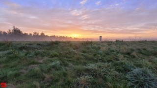 [Dier en Natuur] :: Zonsopkomst 12 okt 2022 (14)