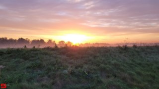 [Dier en Natuur] :: Zonsopkomst 12 okt 2022 (15)