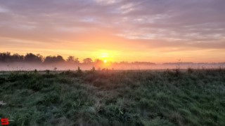 [Dier en Natuur] :: Zonsopkomst 12 okt 2022 (16)