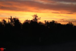 [Dier en Natuur] :: Zonsopkomst 12 okt 2022 (18)