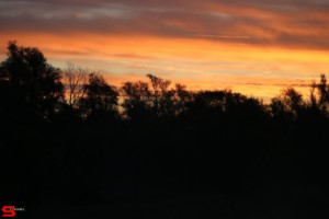 [Dier en Natuur] :: Zonsopkomst 12 okt 2022 (19)
