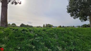 [Dier en Natuur] :: Ottersluis Kop van het Land (5)