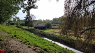 [Dier en Natuur] :: Ottersluis Kop van het Land (8)