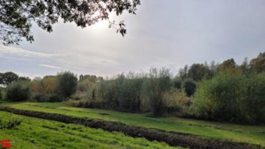 [Dier en Natuur] :: Ottersluis Kop van het Land (10)