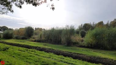 [Dier en Natuur] :: Ottersluis Kop van het Land (11)