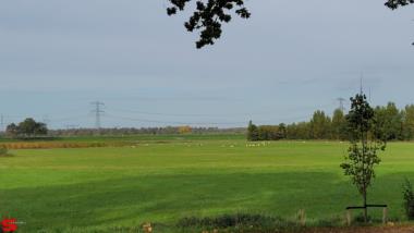 [Dier en Natuur] :: Ottersluis Kop van het Land (12)