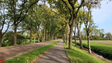 [Dier en Natuur] :: Ottersluis Kop van het Land (13)