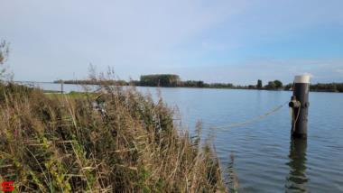 [Dier en Natuur] :: Ottersluis Kop van het Land (14)