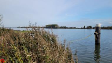 [Dier en Natuur] :: Ottersluis Kop van het Land (15)