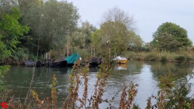 [Dier en Natuur] :: Ottersluis Kop van het Land (6)