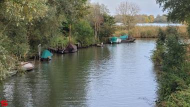 [Dier en Natuur] :: Ottersluis Kop van het Land (7)