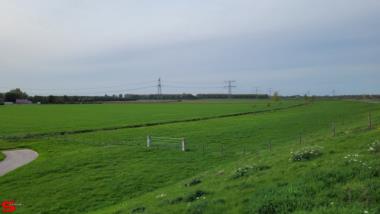 [Dier en Natuur] :: Ottersluis Kop van het Land (11)