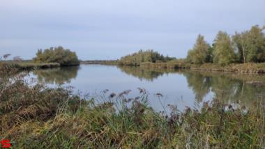 [Dier en Natuur] :: Ottersluis Kop van het Land (13)