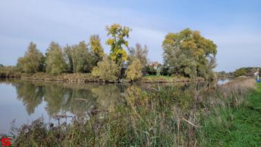 [Dier en Natuur] :: Ottersluis Kop van het Land (14)