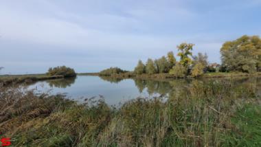 [Dier en Natuur] :: Ottersluis Kop van het Land (15)