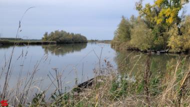 [Dier en Natuur] :: Ottersluis Kop van het Land (16)