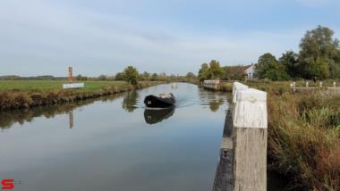 [Dier en Natuur] :: Ottersluis Kop van het Land (17)