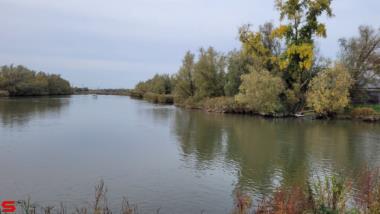 [Dier en Natuur] :: Ottersluis Kop van het Land (19)