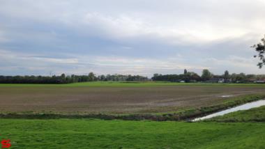 [Dier en Natuur] :: Ottersluis Kop van het Land (7)