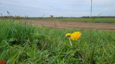 [Dier en Natuur] :: Ottersluis Kop van het Land (8)