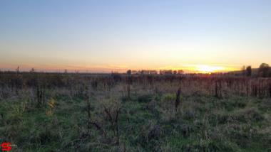 [Dier en Natuur] :: Genieten mooie ondergaande zon (13)