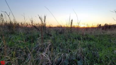 [Dier en Natuur] :: Genieten mooie ondergaande zon (14)