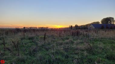 [Dier en Natuur] :: Genieten mooie ondergaande zon (15)