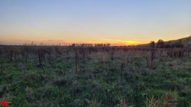 [Dier en Natuur] :: Genieten mooie ondergaande zon (18)