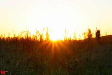 [Dier en Natuur] :: Genieten mooie ondergaande zon (7)