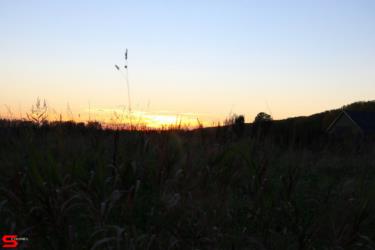 [Dier en Natuur] :: Genieten mooie ondergaande zon (15)