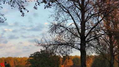 [Dier en Natuur] :: Rondje Stadspolders 20 okt 2022 (3)