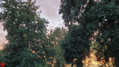 [Dier en Natuur] :: Rondje Stadspolders 20 okt 2022 (5)