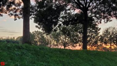 [Dier en Natuur] :: Rondje Stadspolders 20 okt 2022 (7)