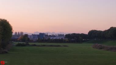 [Dier en Natuur] :: Rondje Stadspolders 20 okt 2022 (12)