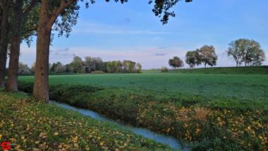 [Dier en Natuur] :: Rondje Dordt 22 okt 2022 (5)