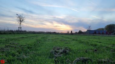 [Dier en Natuur] :: Rondje Dordt 22 okt 2022 (10)