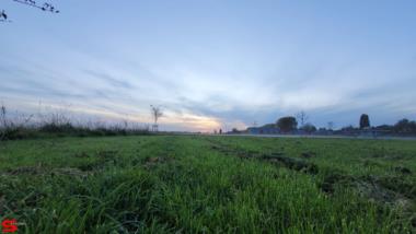 [Dier en Natuur] :: Rondje Dordt 22 okt 2022 (11)