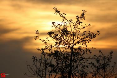 [Dier en Natuur] :: Rondje Dordt 22 okt 2022 (15)