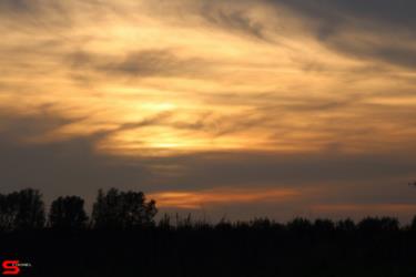 [Dier en Natuur] :: Rondje Dordt 22 okt 2022 (16)
