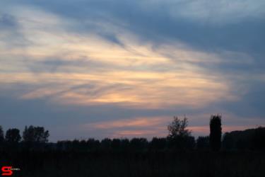 [Dier en Natuur] :: Rondje Dordt 22 okt 2022 (13)