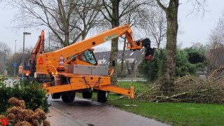 [Nieuws] :: Populierenkap in Stadspolders (5)