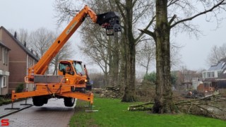 [Nieuws] :: Populierenkap in Stadspolders (10)