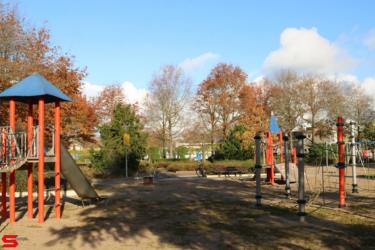 [Nieuws] :: Bomenridders wijkboomverkiezing 2023 (10)
