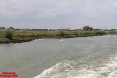 [Stad en Land] :: Waterbus van Dordt naar Rotterdam en terug (14)