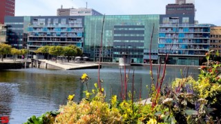 [Stad en Land] :: Rondje rond T-Mobile HQ (9)