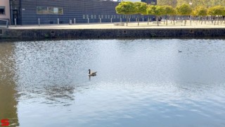 [Stad en Land] :: Rondje rond T-Mobile HQ (14)