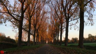 [Stad en Land] :: Rondje Stadspolders en De Hoven (13)