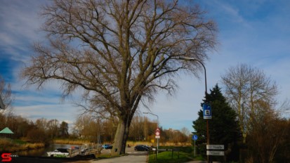 [Stad en Land] :: Het Vissertje Wantij (17)