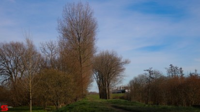 11 Maart 2023 :: Het Vissertje Wantij 11 Maart 2023 :: Het Vissertje Wantij