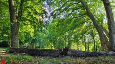 [Stad en Land] :: Dubbeldam en Kop van t land (4)